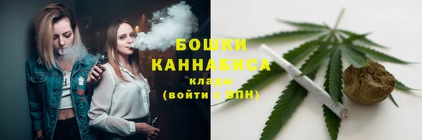 Альфа ПВП Бородино