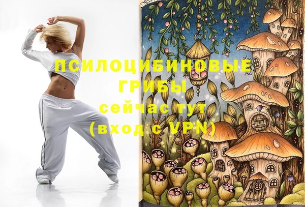 прущая мука Бронницы