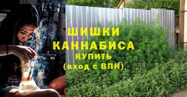 Альфа ПВП Бородино