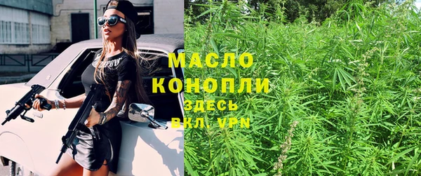 Альфа ПВП Бородино