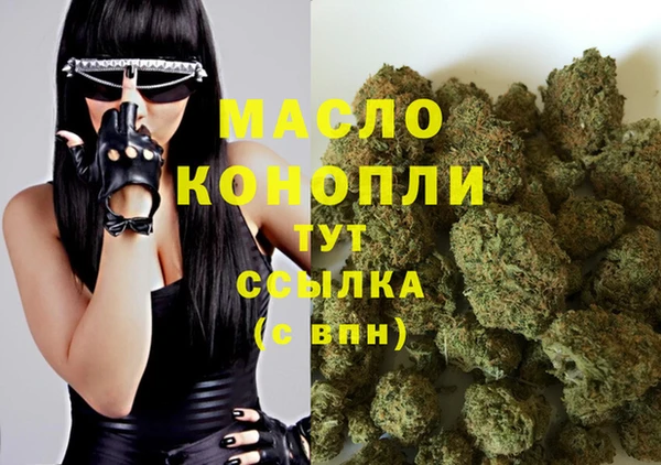 Альфа ПВП Бородино